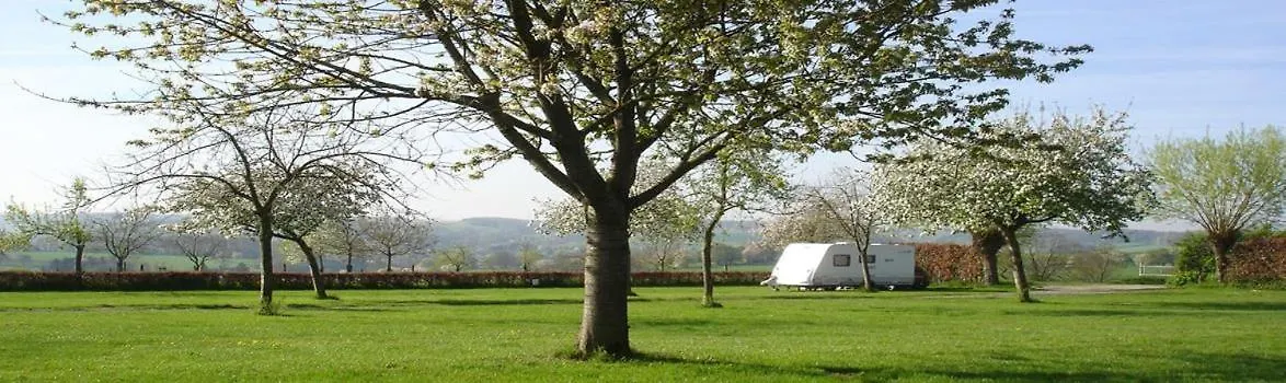 De Hooiberg Villa Walem Holiday home